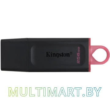 USB Flash Kingston Exodia 256GB